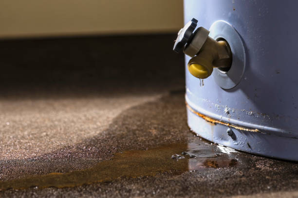 Best 24-hour water damage restoration  in Bronte, TX