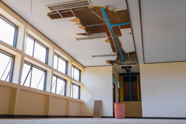 Reliable Bronte, TX Water damage restoration Solutions