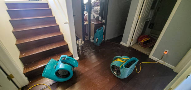Best 24-hour water damage restoration  in Bronte, TX