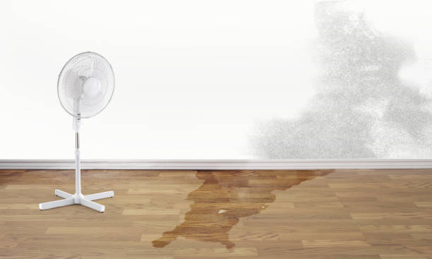 Best Emergency water damage restoration  in Bronte, TX