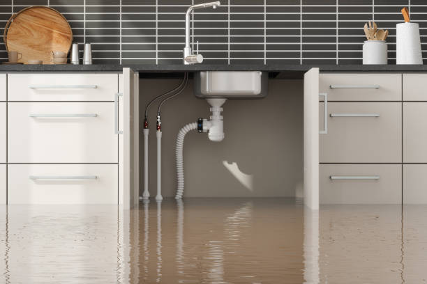 Best Mold removal after water damage  in Bronte, TX